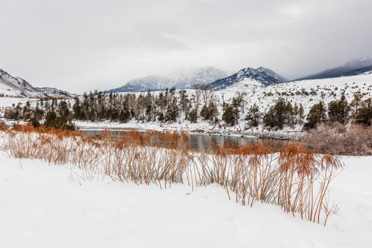47 Yellowstone NP.jpg